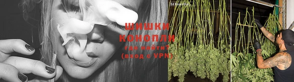 тгк Елабуга