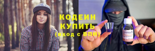 скорость Ельня