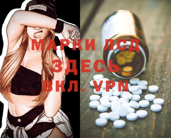скорость Ельня