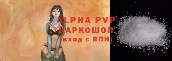 скорость Ельня