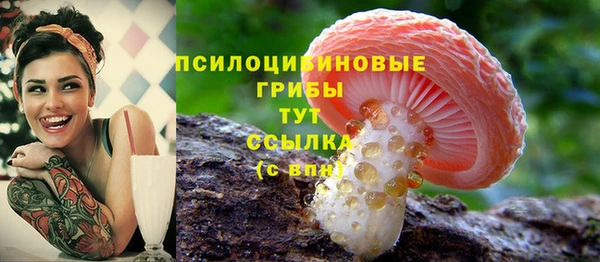 тгк Елабуга