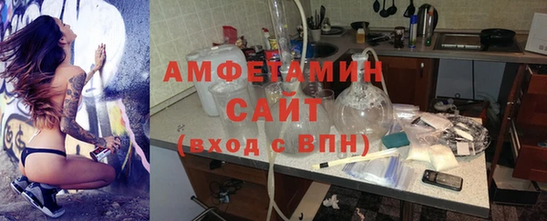 скорость Ельня