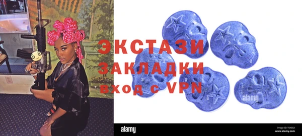 скорость Ельня
