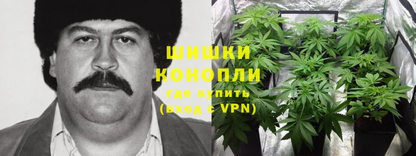 скорость Ельня