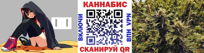 Каннабис сатива Кувшиново